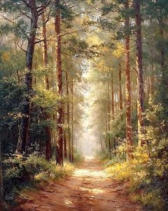 Long chemin dans une forêt de grands arbres