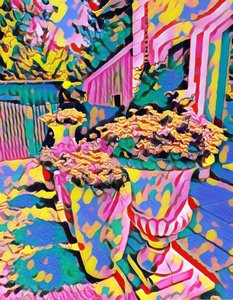 Rêve d
