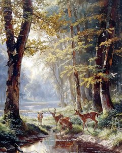 Un cerf parmi les arbres buvant l