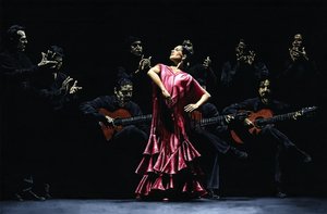 Fière danseuse de flamenco