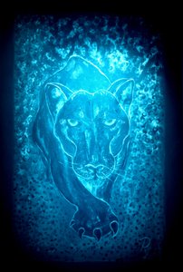 La panthère - bleu
