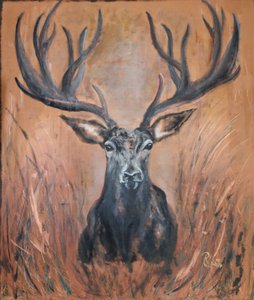 Le roi de la forêt