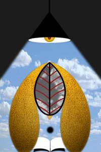Reconnaissance II (ou bien / toute théorie est grise) - 