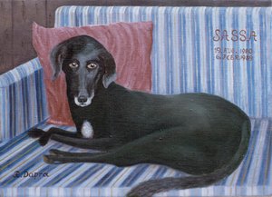 Notre chien Sassa