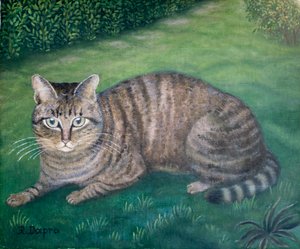 La chatte Julia