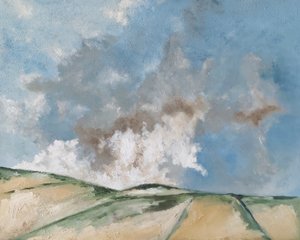Nuages bruns - M. Vet