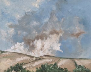Nuages bruns - M. Vet