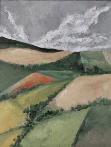 Haies entre les champs - M. Vet