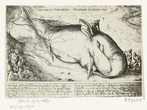 Gravure de la baleine échouée à Anvers, 2 juillet 1577 - A.B. van Deinse