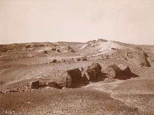 Dans la forêt pétrifiée (vue générale, Middle Park) - A.C. Vroman