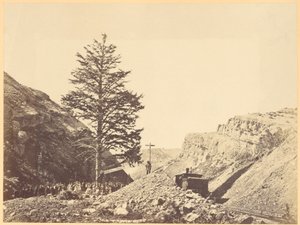 Arbre de mille milles, col de Wilhemina - A.J. Russell
