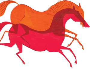 Chevaux, 2008
