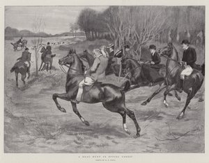 Chasse à courre dans la forêt d