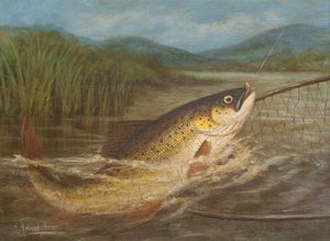 Le filet du pêcheur à la mouche