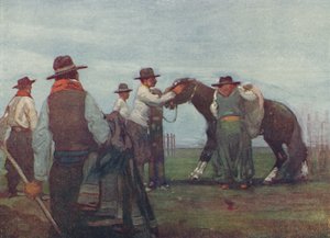 Gauchos dressant un jeune cheval, 1916 - A. S. Forrest