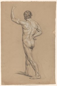 Nu masculin debout, vu de dos