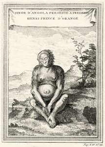 Illustration de l
