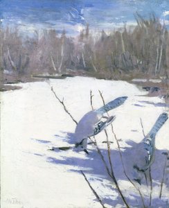 Geais bleus en hiver, étude pour le livre Concealing Coloration in the Animal Kingdom, vers 1905-1909