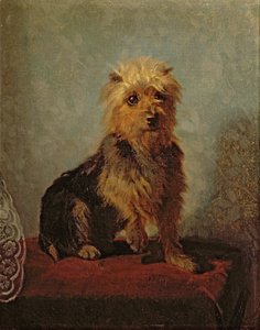 Le chien de Chadwick, 1874