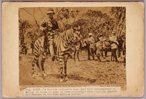 Cheval et croiseur camouflés, dossier d
