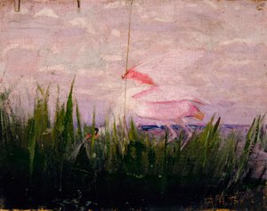 Spatule rosée, étude pour le livre Concealing Coloration in the Animal Kingdom, vers 1905-1909 - Abbott Handerson Thayer