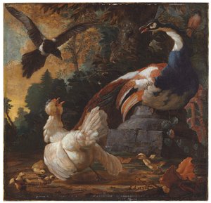 Un paon, des volailles et une pie dans un paysage, 1720