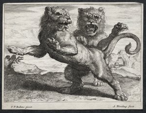 Divers lions - Abraham Blooteling