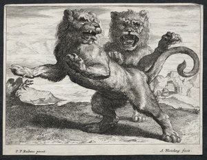 Divers Lions - Abraham Blooteling