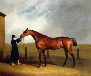 Le poulain bai Truffle du colonel Udny par Sorcerer tenu par un palefrenier, 1815
