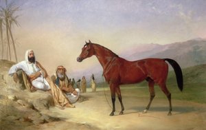Deux Bédouins avec un étalon arabe bai dans le désert