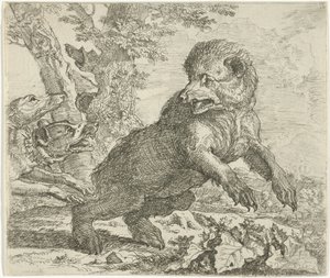 Ours attaqué par des chiens
