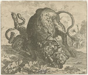 Léopard et taureau