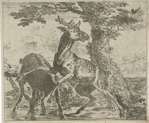 Cerfs effrayés (Verschillende dieren)