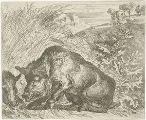 Sanglier - Abraham Danielsz. Hondius