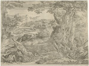 Sanglier attaqué par des chiens