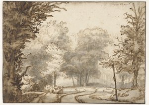 Chemin à travers la forêt