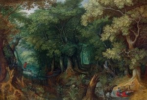 Paysage forestier