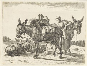 Ânes de bât