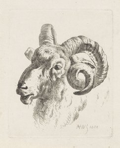 Tête de bélier vers la gauche - Abraham Hendrik Winter