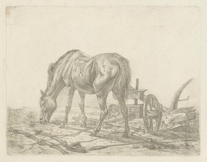 Cheval dételé près d