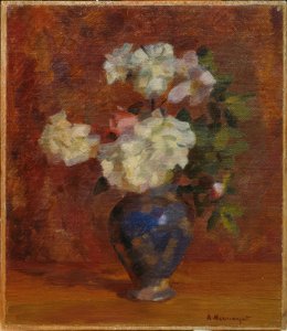 Petites roses et roses des chiens