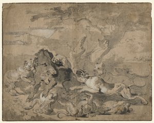 Chasse au Sanglier