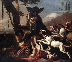 Chasse au sanglier
