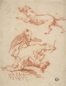 Esquisses de chiens en train de jouer