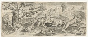Écureuils et lapins
