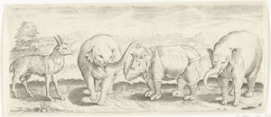 Gazelle, éléphant et rhinocéros