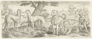 Chiens - Abraham de Bruyn (possibly)