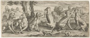 Chiens
