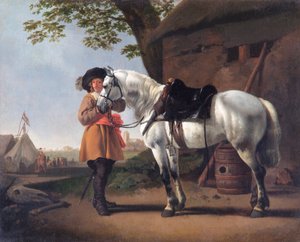 Un cavalier avec un cheval gris