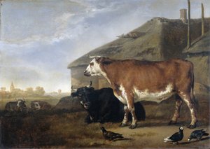 Bétail - Abraham van Calraet